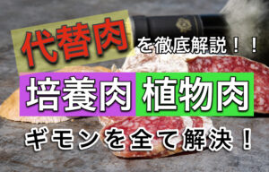 植物肉とはどんなもの 作り方 原料 メリット デメリットなどを徹底解説 まろんブログ